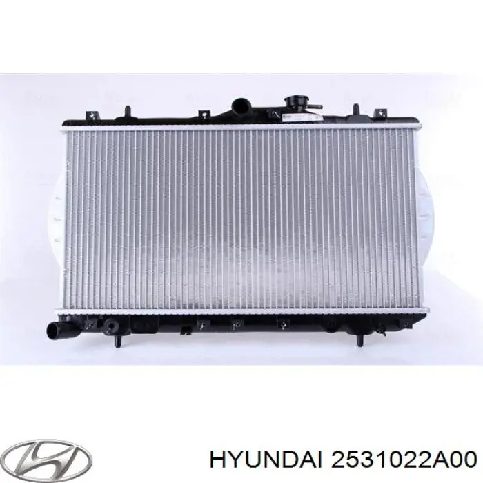 2531022A00 Hyundai/Kia радіатор охолодження двигуна