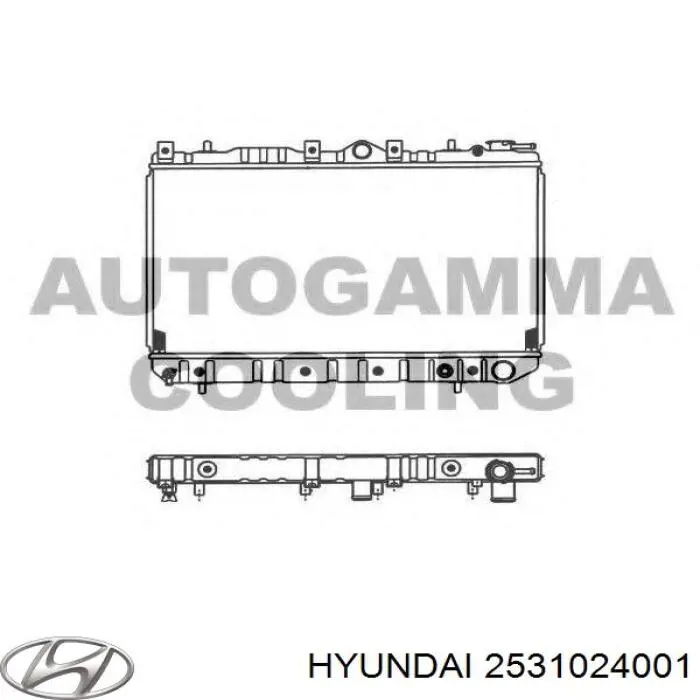 2531024001 Hyundai/Kia радіатор охолодження двигуна