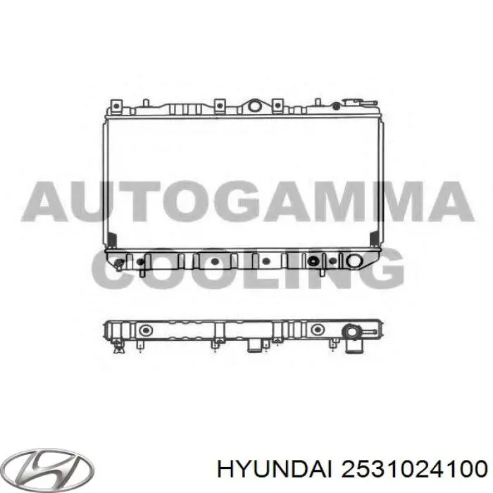 Радіатор 4020083 Polcar