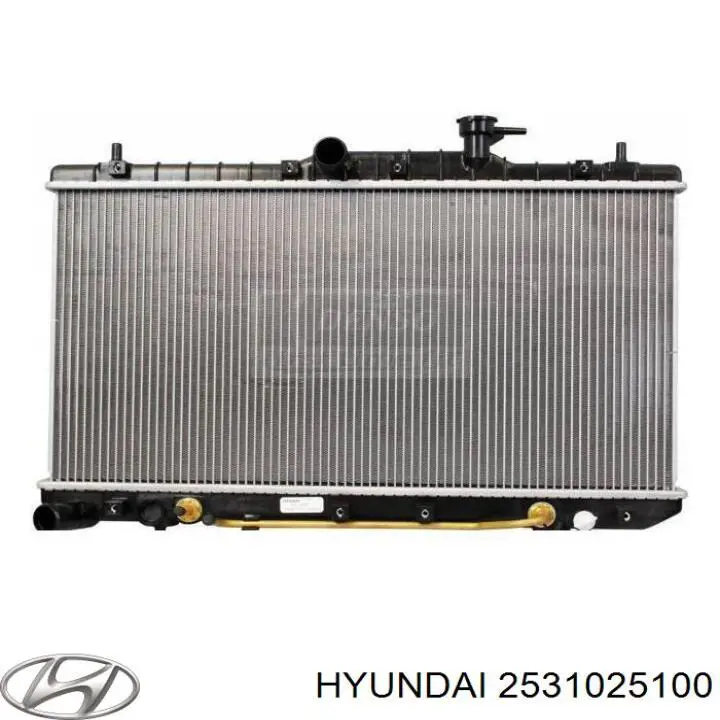 2531025100 Hyundai/Kia Радіатор охолодження двигуна