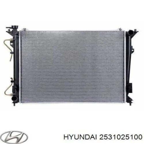 Радіатор основний Hyundai/Kia 2531025100 ціна, від 66.80 USD