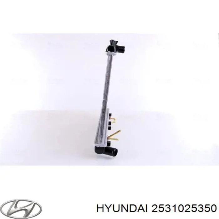 2531025350 Hyundai/Kia Радіатор охолодження двигуна