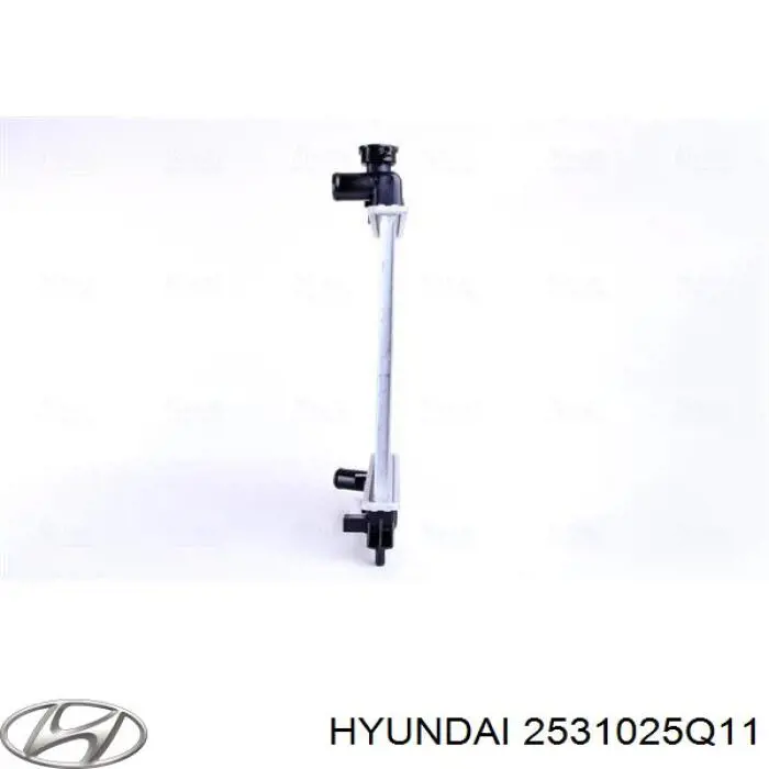 Радіатор основний Hyundai/Kia 2531025Q11 ціна, від 42.06 USD