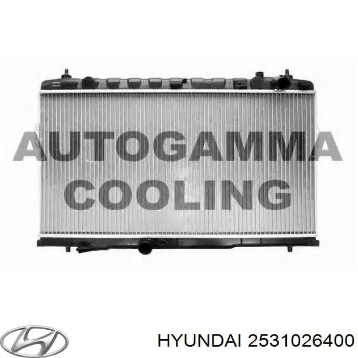 S2531026400 Hyundai/Kia Радіатор охолодження двигуна