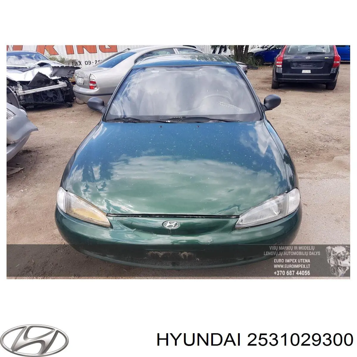 2531029300 Hyundai/Kia 