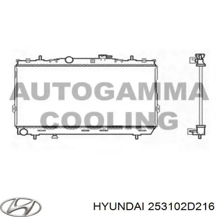 253102D216 Hyundai/Kia Радіатор охолодження двигуна