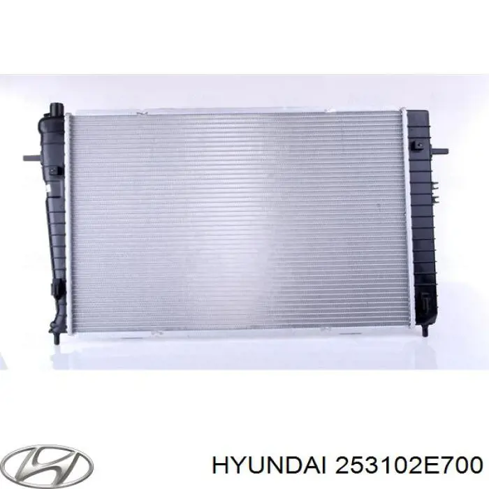 Радіатор 253102E700 Hyundai/Kia