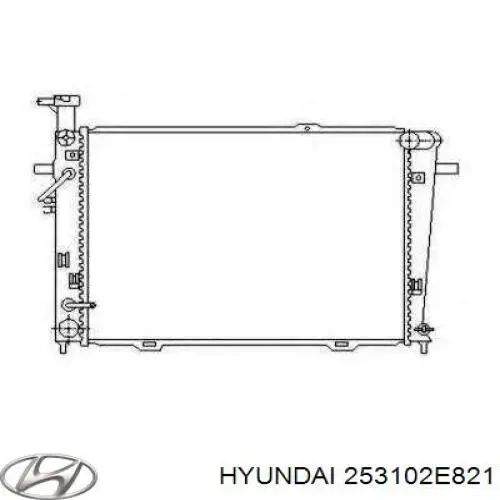 Радіатор 253102E821 Hyundai/Kia