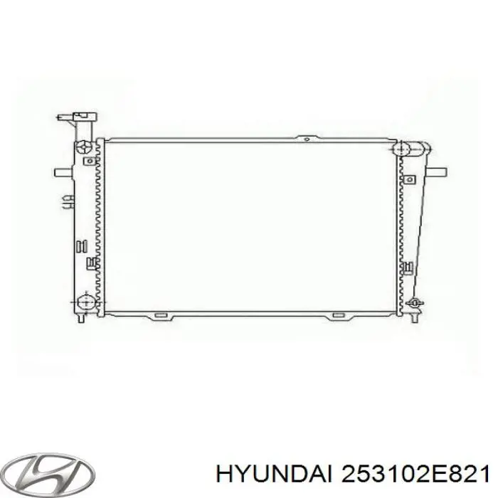 Радіатор 253102E821 Hyundai/Kia
