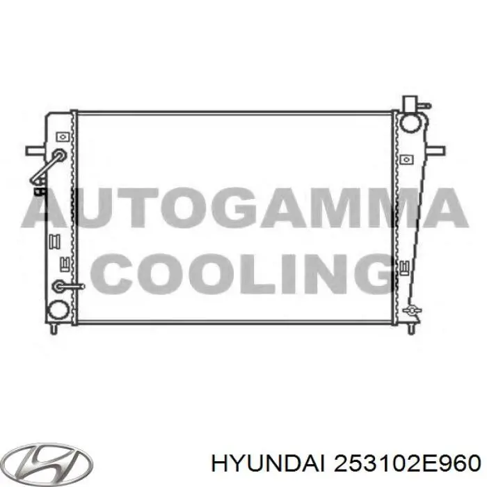 253102E960 Hyundai/Kia радіатор охолодження двигуна