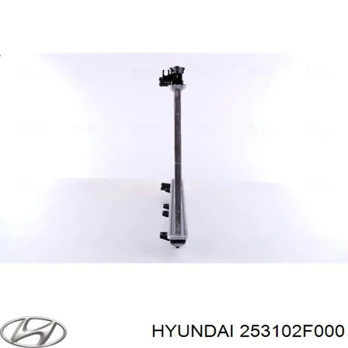 Радіатор 253102F000 Hyundai/Kia
