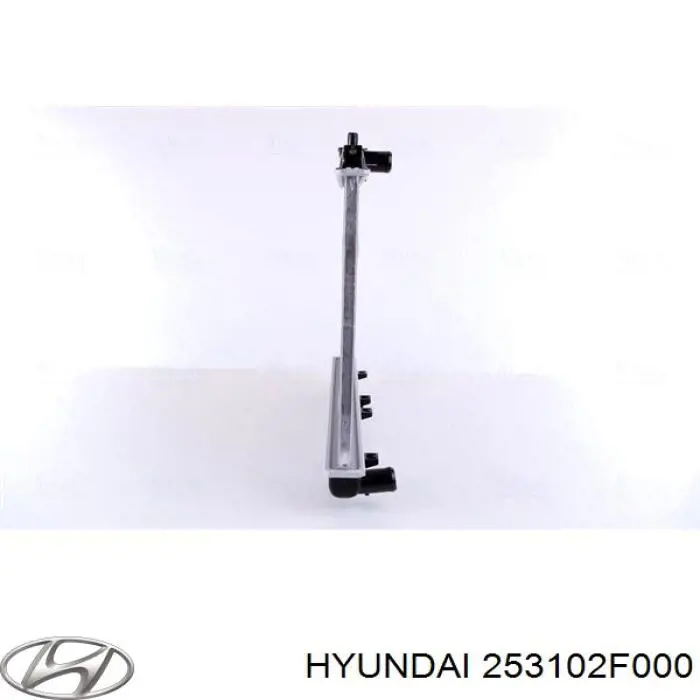 Радіатор охолодження Hyundai/Kia 253102F000