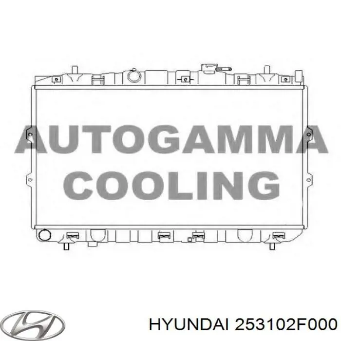 Радіатор основний Hyundai/Kia 253102F000 ціна, від 70.17 USD