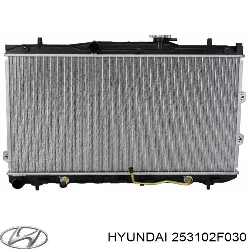 253102F030 Hyundai/Kia