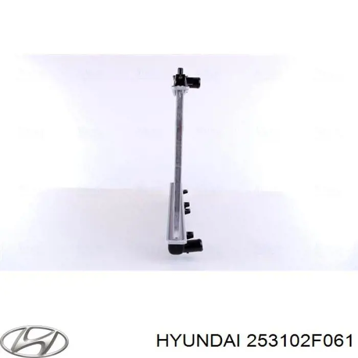 Радіатор охолодження Hyundai/Kia 253102F061