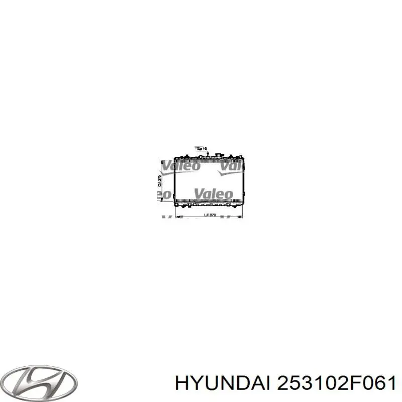 Радіатор 253102F061 Hyundai/Kia