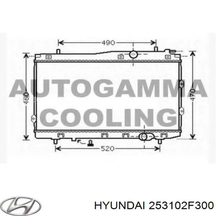 253102F300 Hyundai/Kia радіатор охолодження двигуна