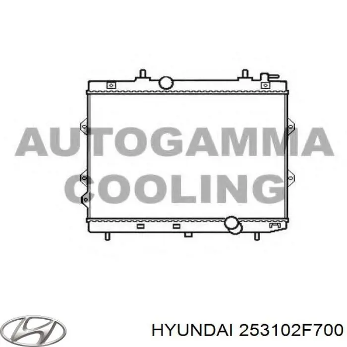 253102F700 Hyundai/Kia Радіатор охолодження двигуна