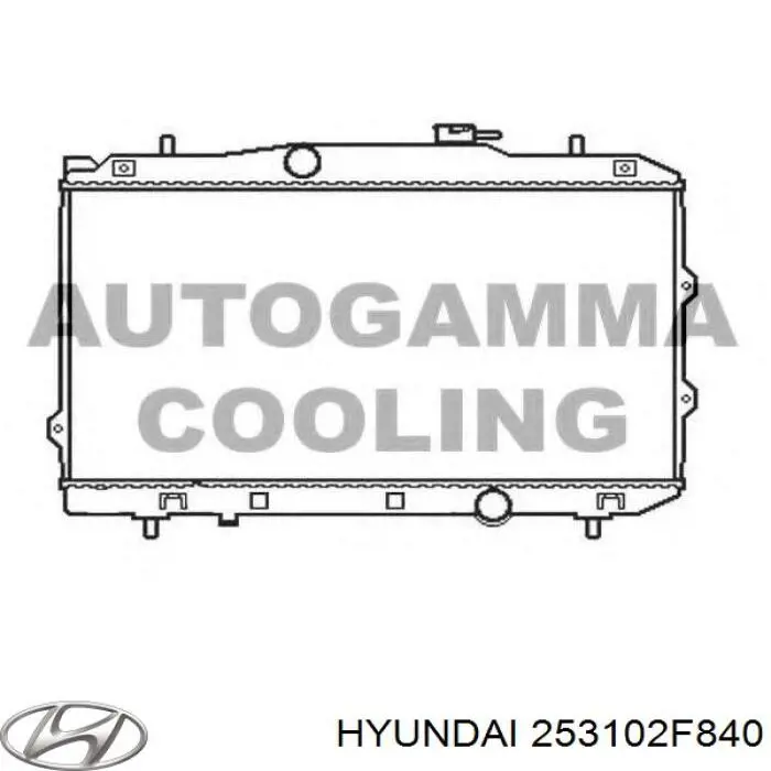 253102F840 Hyundai/Kia радіатор охолодження двигуна