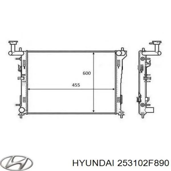 Радіатор 253102F890 Hyundai/Kia