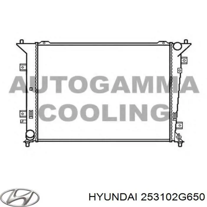Радіатор основний Hyundai/Kia 253102G650 ціна, від 56.11 USD