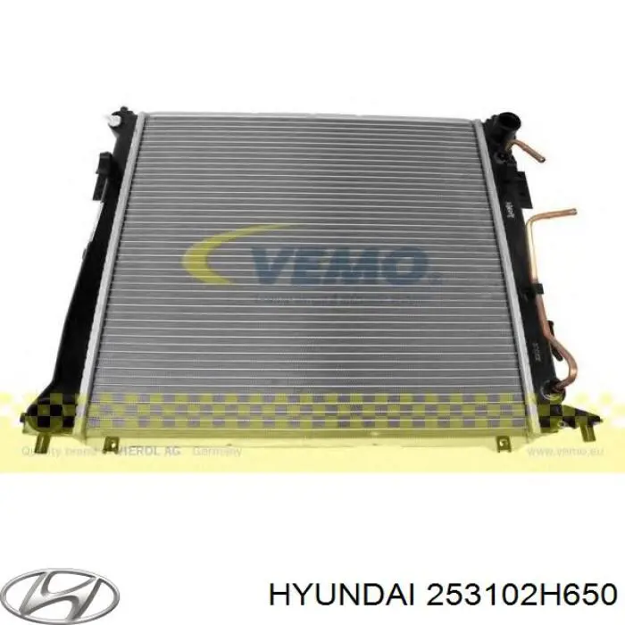 253102H650 Hyundai/Kia Радіатор охолодження двигуна