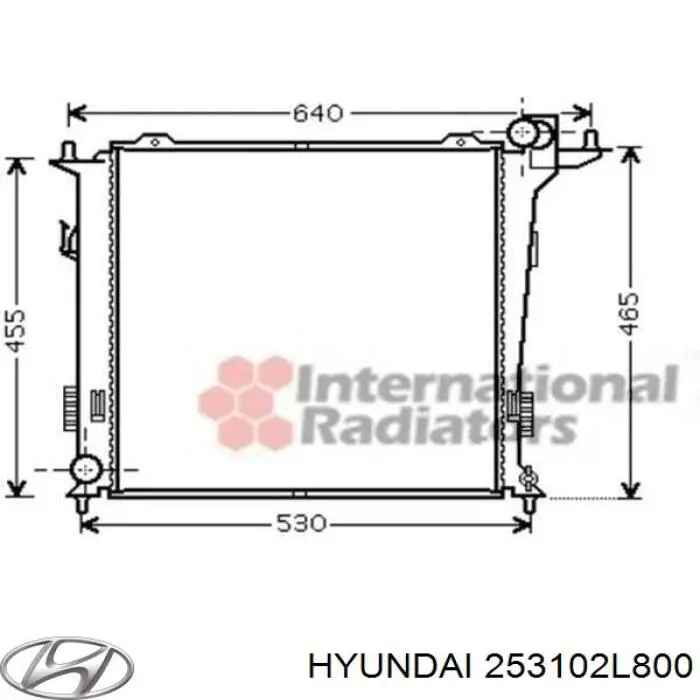 253102L800 Hyundai/Kia радіатор охолодження двигуна