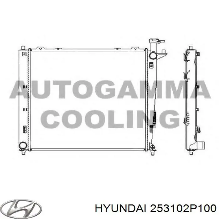 253102P100 Hyundai/Kia радіатор охолодження двигуна