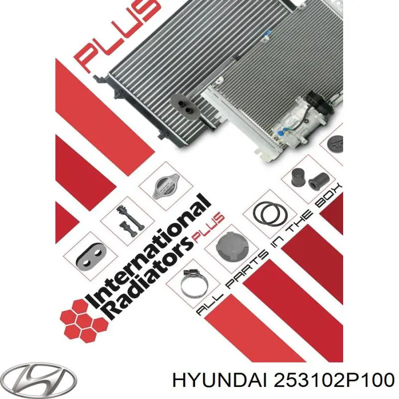 Радіатор основний Hyundai/Kia 253102P100 ціна, від 99.48 USD