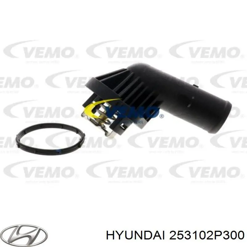 Радіатор охолодження Hyundai/Kia 253102P300