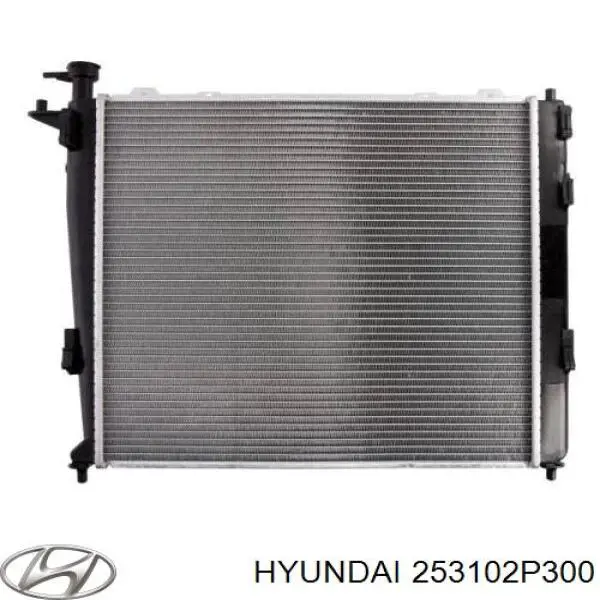 Радіатор основний Hyundai/Kia 253102P300 ціна, від 142.67 USD
