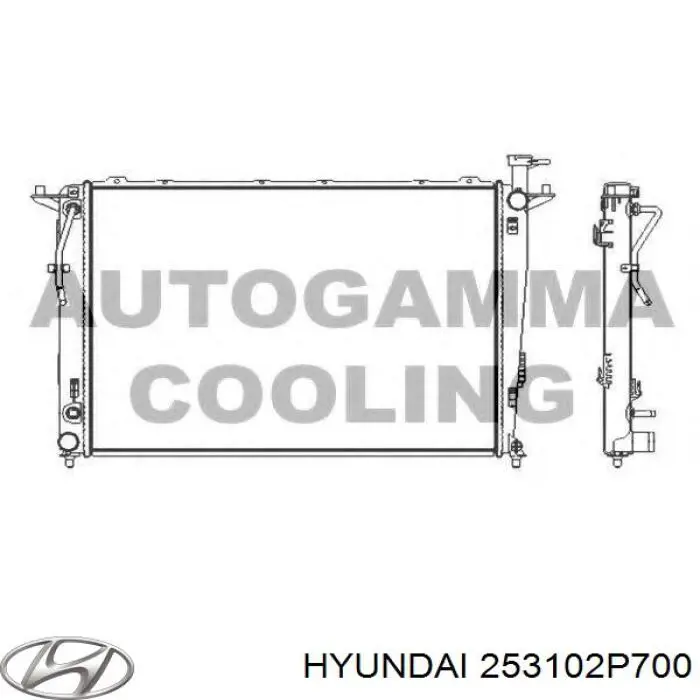Радіатор 253102P700 Hyundai/Kia