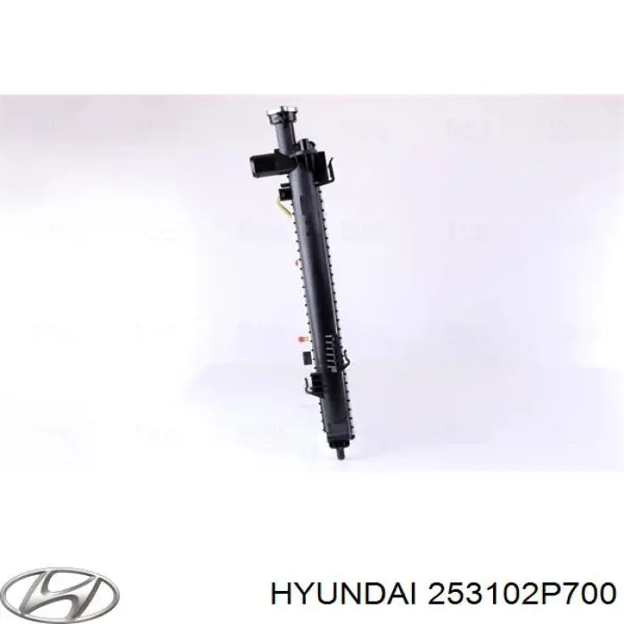 253102P700 Hyundai/Kia Радіатор охолодження двигуна