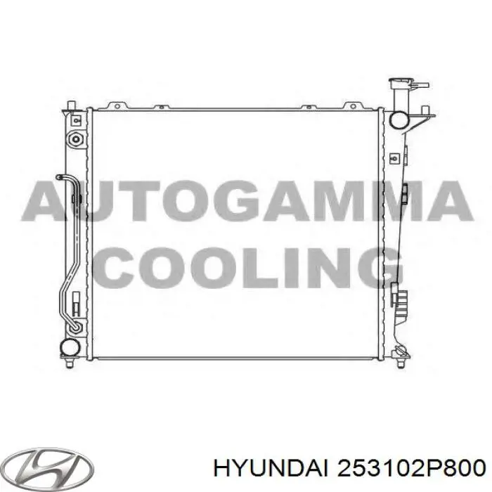 253102P800 Hyundai/Kia Радіатор охолодження двигуна