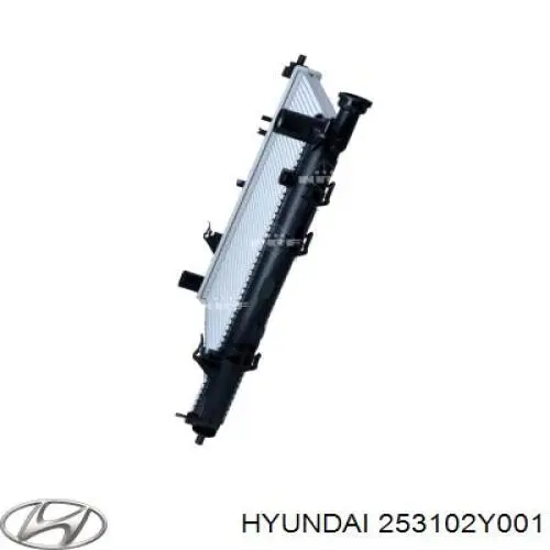 Радіатор 253102Y001 Hyundai/Kia