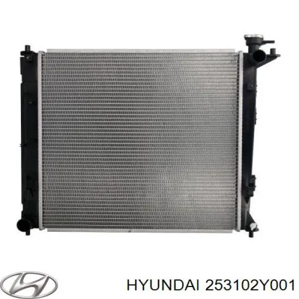 Радіатор основний Hyundai/Kia 253102Y001 ціна, від 73.22 USD