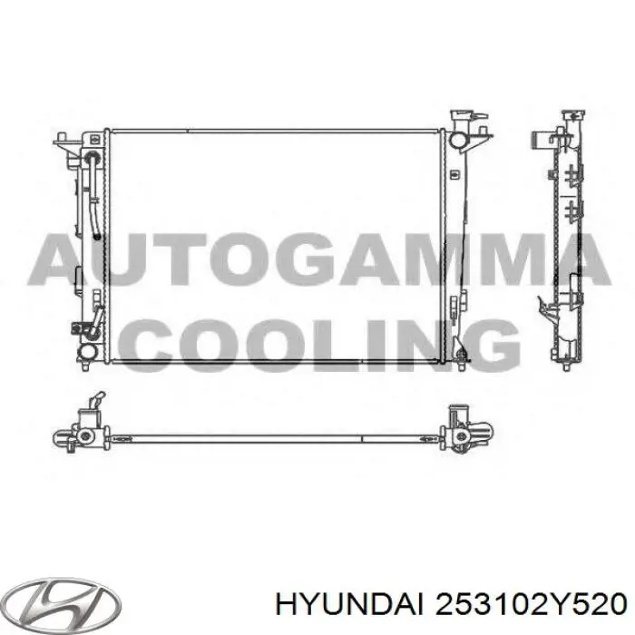 Радіатор 253102Y520 Hyundai/Kia