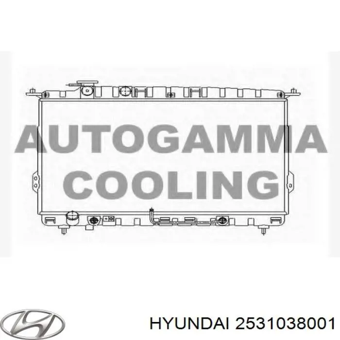 Радіатор охолодження двигуна 2531038001 Hyundai/Kia