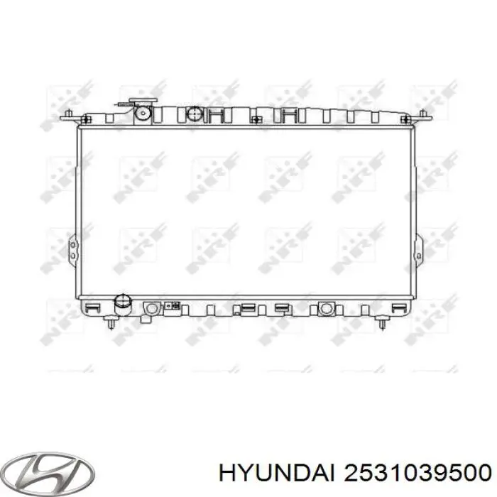 2531039500 Hyundai/Kia Радіатор охолодження двигуна