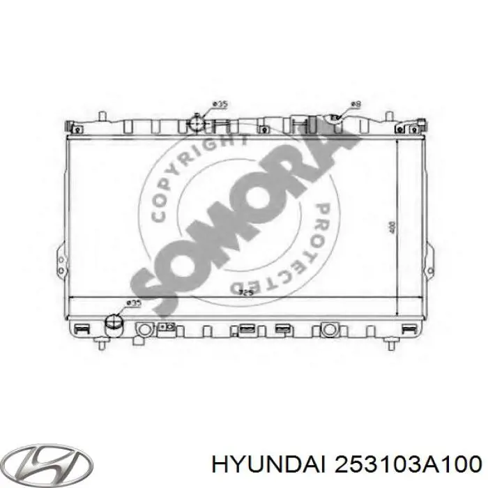 253103A100 Hyundai/Kia радіатор охолодження двигуна