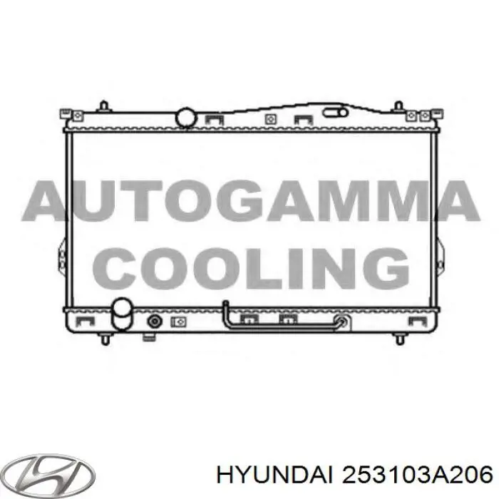 253103A206 Hyundai/Kia радіатор охолодження двигуна