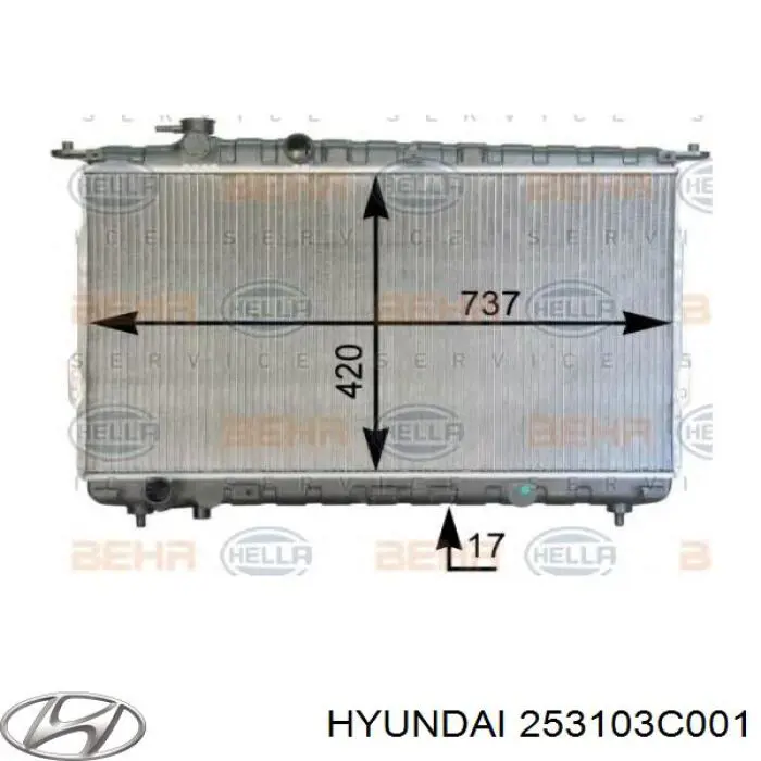 253103C001 Hyundai/Kia радіатор охолодження двигуна