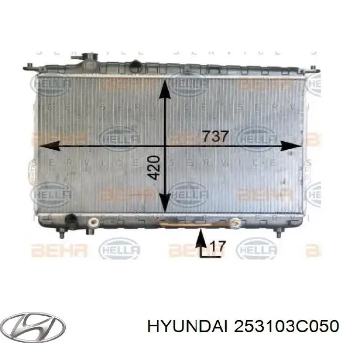 Купити 253103C050 Hyundai/Kia Радіатор двигуна