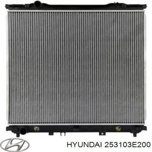 253103E200 Hyundai/Kia Радіатор охолодження двигуна