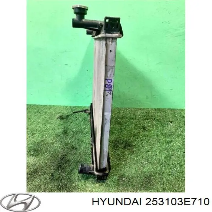 Радіатор охолодження Hyundai/Kia 253103E710