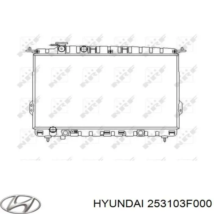 Радіатор основний Hyundai/Kia 253103F000 ціна, від 63.10 USD