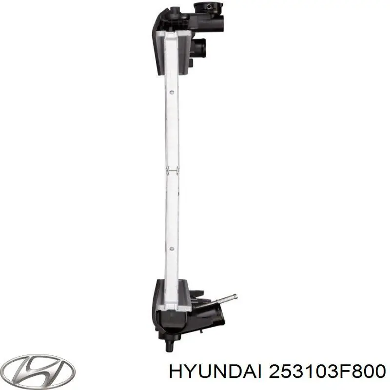 253103F800 Hyundai/Kia Радіатор охолодження двигуна
