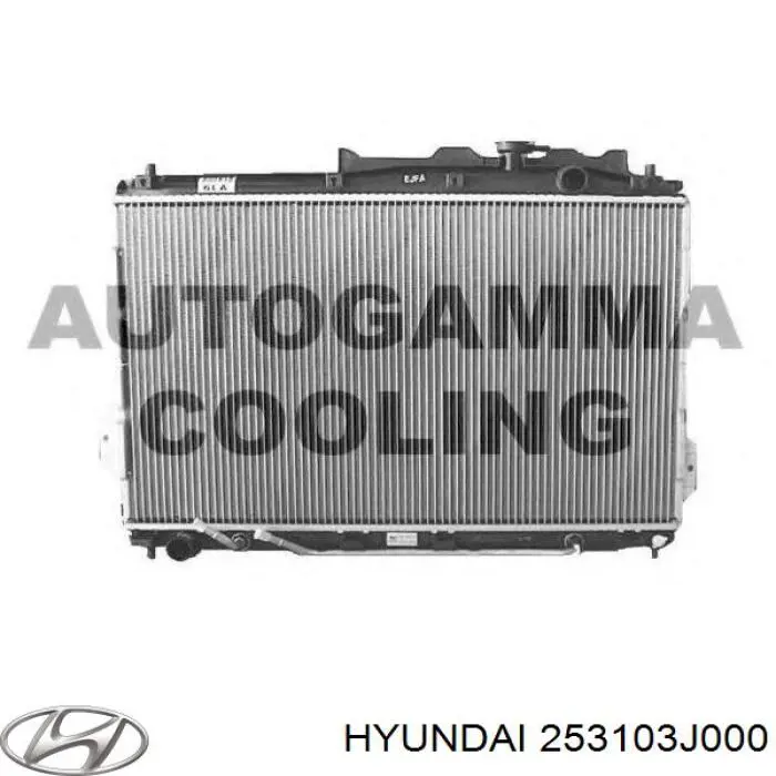 253103J000 Hyundai/Kia радіатор охолодження двигуна