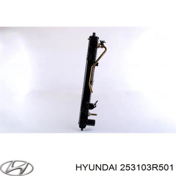 253103R501 Hyundai/Kia Радіатор охолодження двигуна