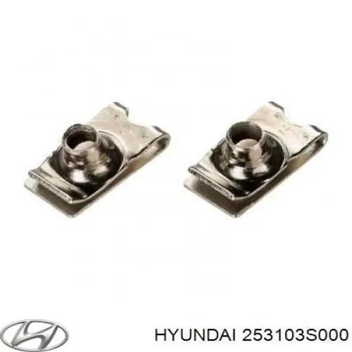 253103S000 Hyundai/Kia Радіатор охолодження двигуна